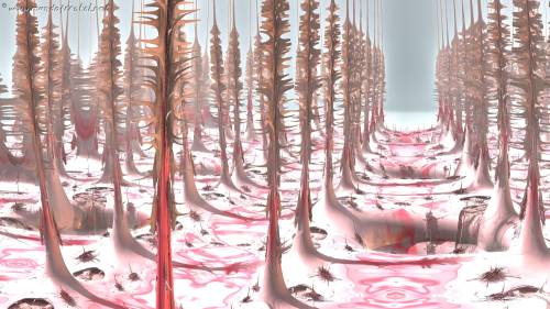 The pink forest is dead