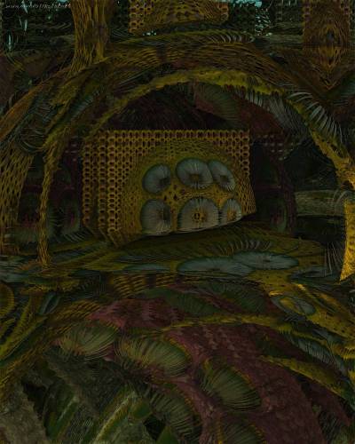 Hidden in the forest