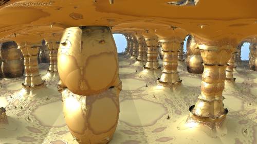 Under the desert sun